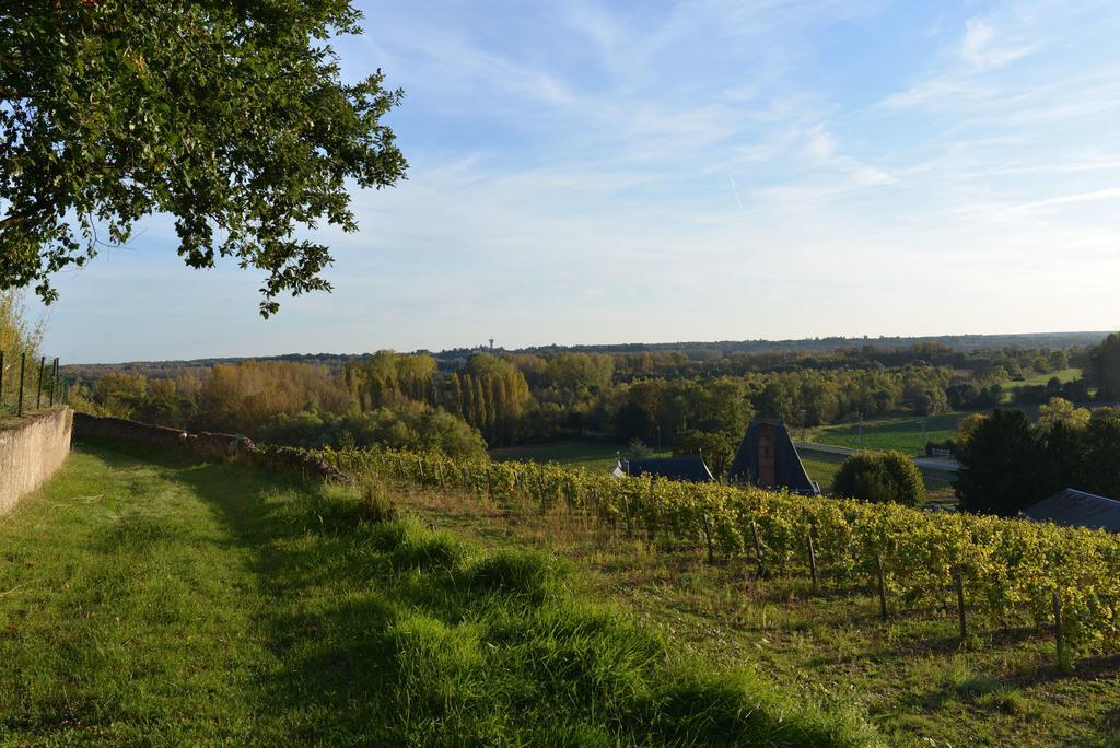 Gites Troglodytes Du Chateau De L'Etoile Vernou-sur-Brenne Номер фото